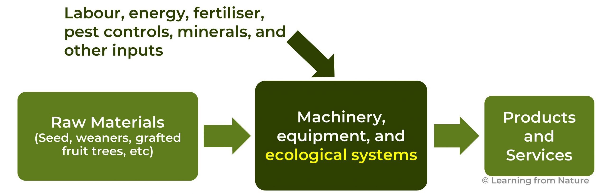 Diagram showing ecological producton systems