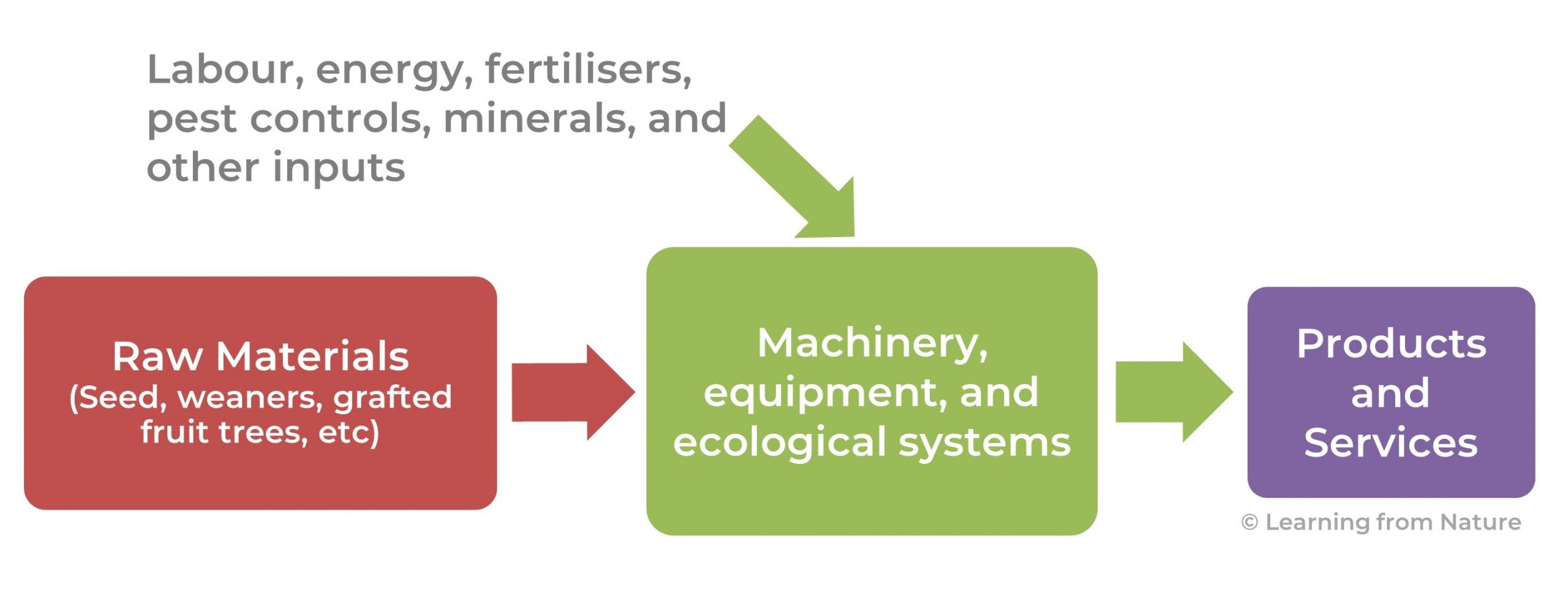 Diagram showing production line with ecological components