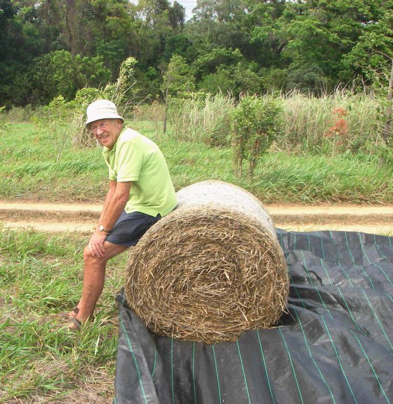 Photo showing the hard work spreading mulch - when living mulch is much easier