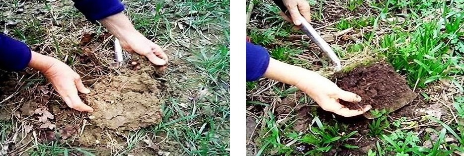 photo comparing soil in an arable field with soil in a ancient woodland 