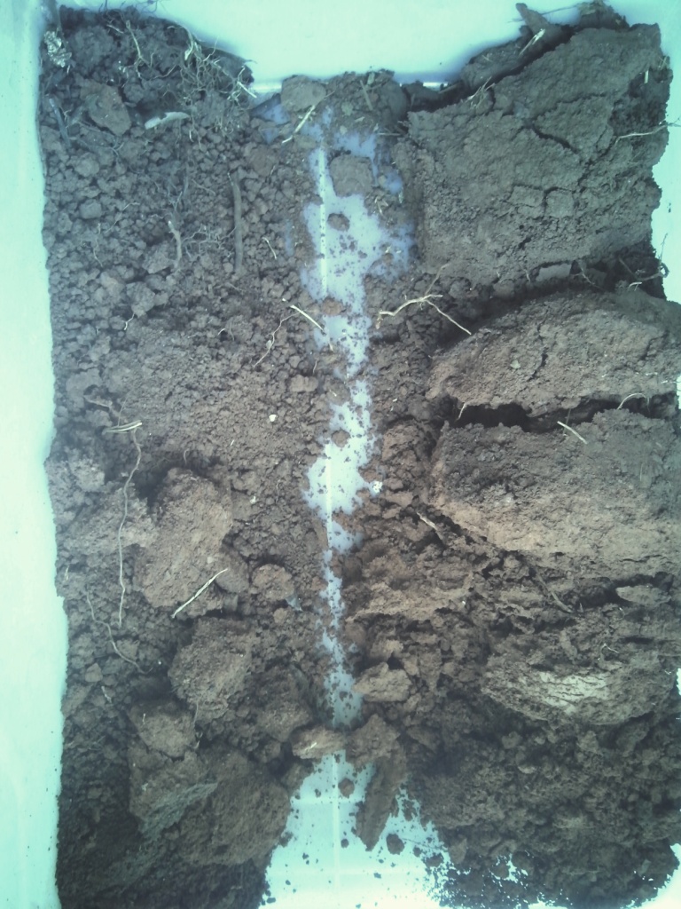 Photo comparing soil at Hill Top Farm with soil formed under natural vegetation