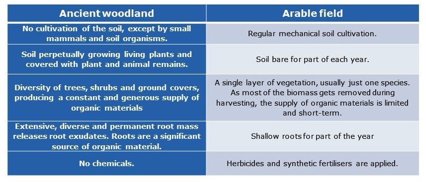 Table showing comparision between soil management in an arable field and ancient woodland