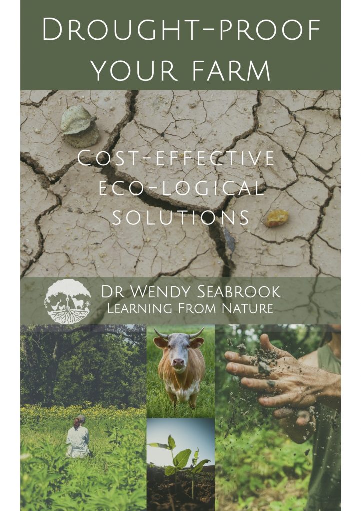 Image of front cover of How To Drought Proof Your Farm