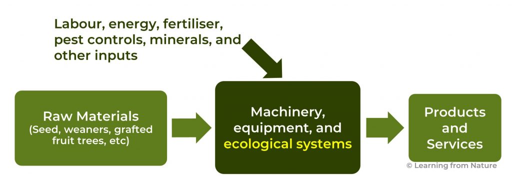 Diagram showing ecological producton systems