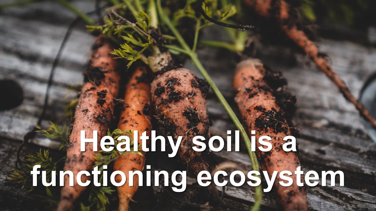 Thumbnail for video on building healthy soil