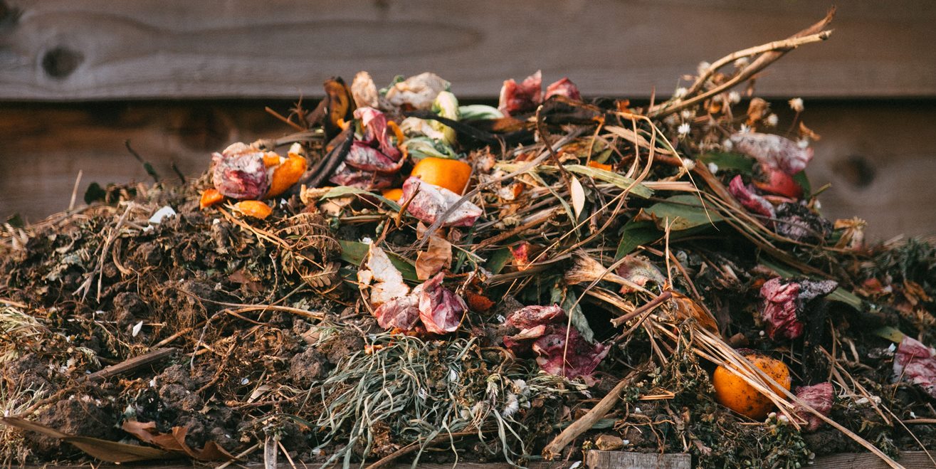 Compost and Biological Fertilisers - Are they Regenerative Practices?