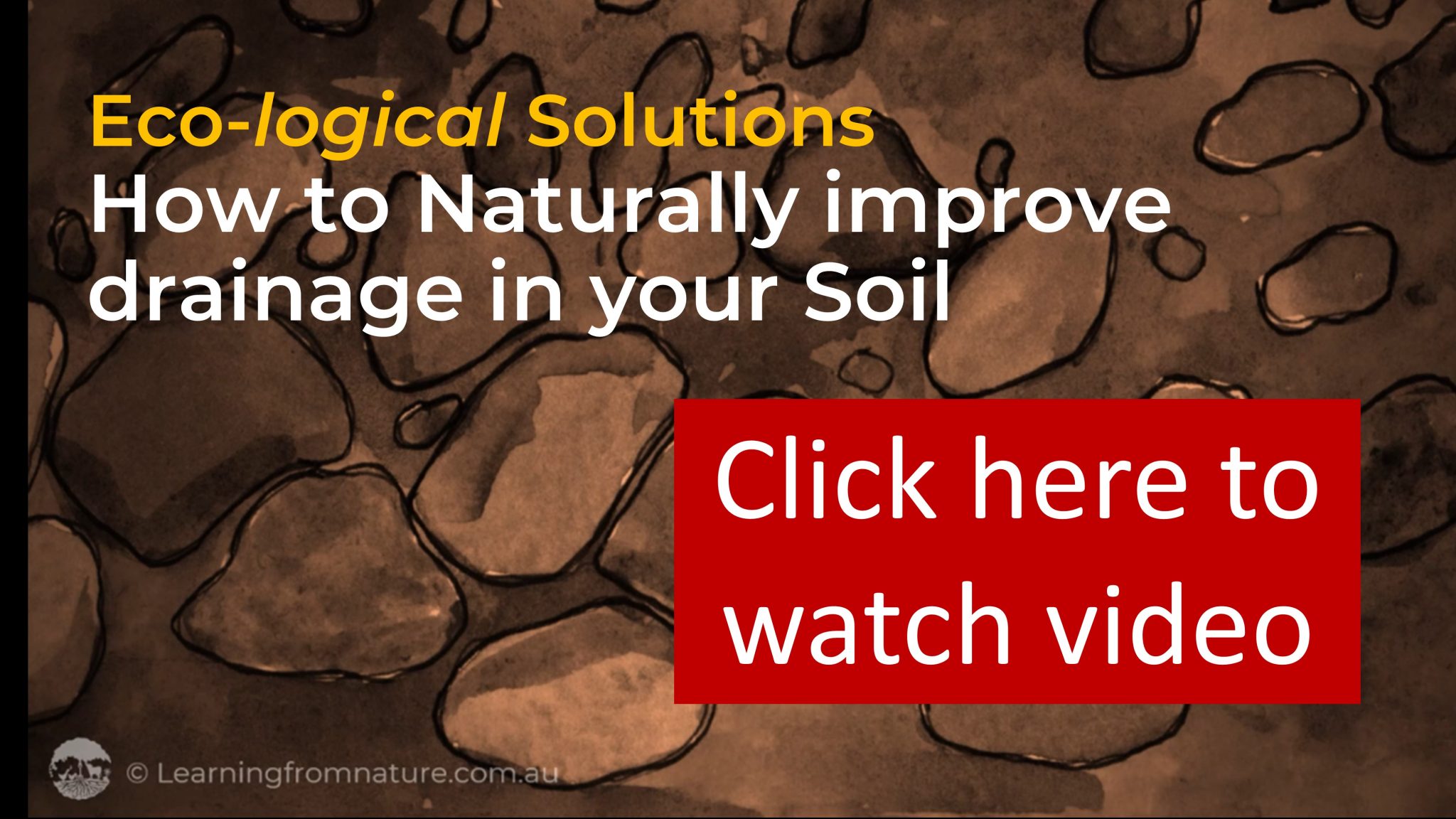 How to Naturally improve drainage in your Soil