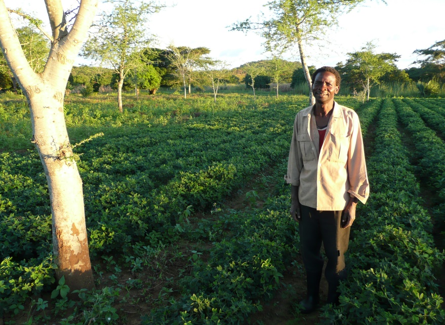 Photo farmer in Africa demonstrating the uptake of regenerative agriculture