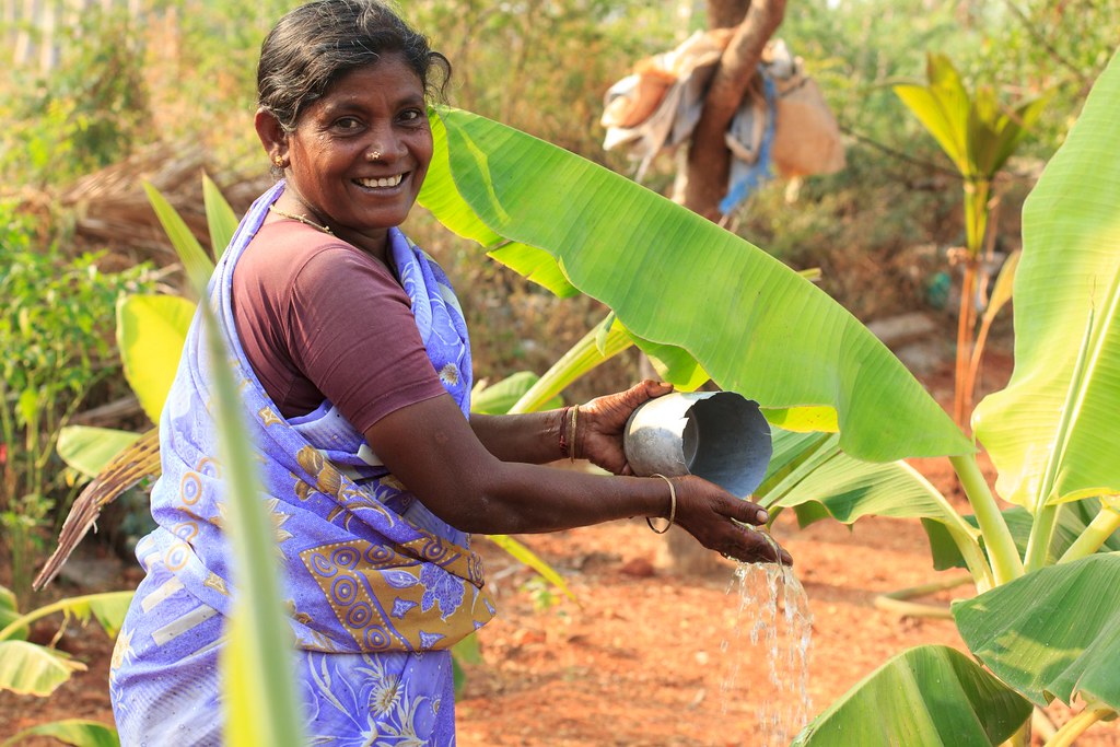 Photo of Indian woman farmer uptake of regenerative agricuilture