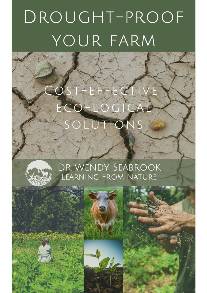 Front cover Drought-proof your Farm