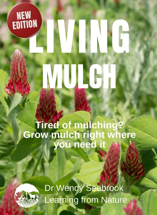 Living MulchCover2026 Cover of living mulch handbook