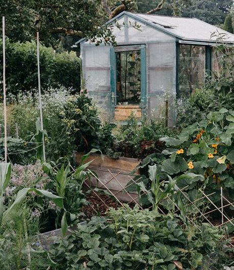GardenGreenhouseC
